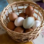 Maas En Heuvel Maastricht 4* Eijsden