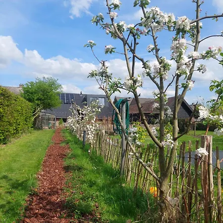 Bed & Breakfast Maas En Heuvel Maastricht