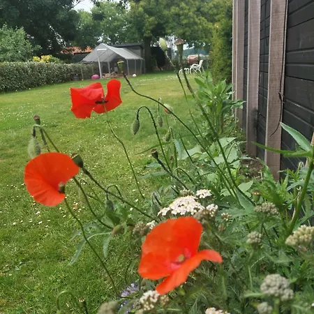 Maas En Heuvel Maastricht