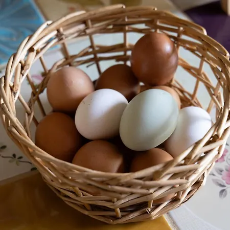 Maas En Heuvel Maastricht 4* Eijsden