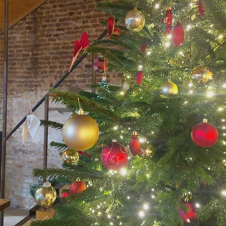 Maas En Heuvel Maastricht Bed & Breakfast 4*