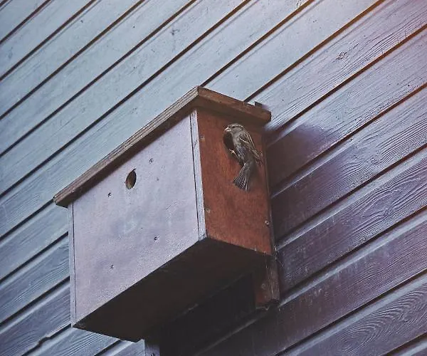 Maas En Heuvel Maastricht Bed & Breakfast Eijsden