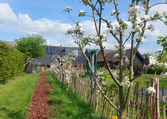 Bed and Breakfast Maas En Heuvel Maastricht