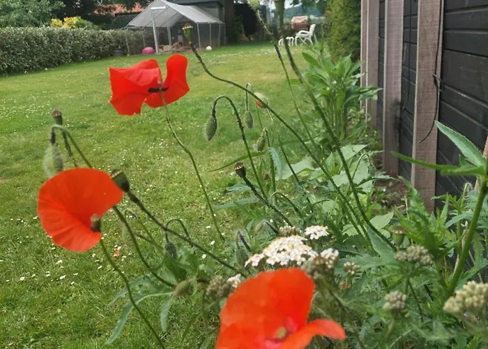 Maas En Heuvel Maastricht