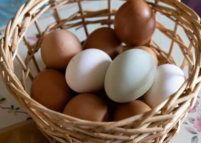 Maas En Heuvel Maastricht 4* Eijsden