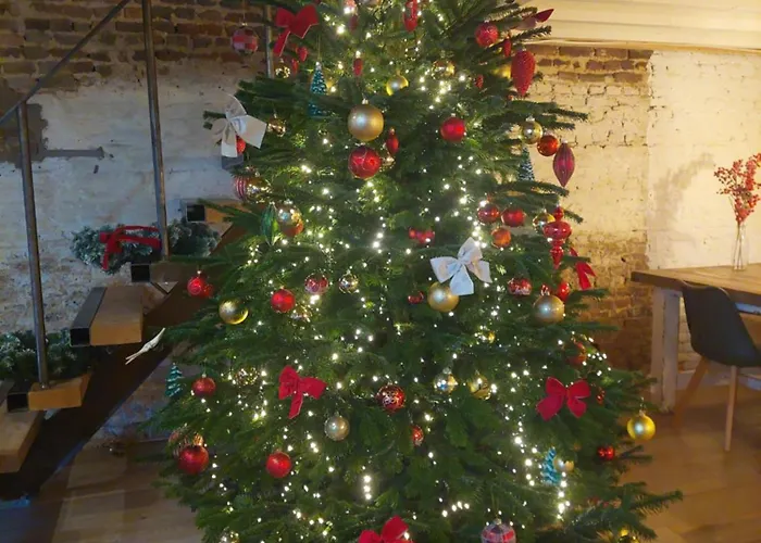 Maas En Heuvel Maastricht 4*