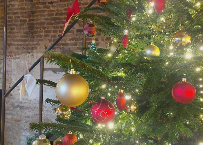 Maas En Heuvel Maastricht Bed and Breakfast 4*