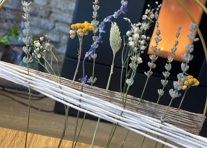 Maas En Heuvel Maastricht Bed & Breakfast